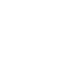 Link Icon